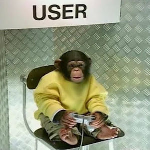 Meet your Posher, Ashton